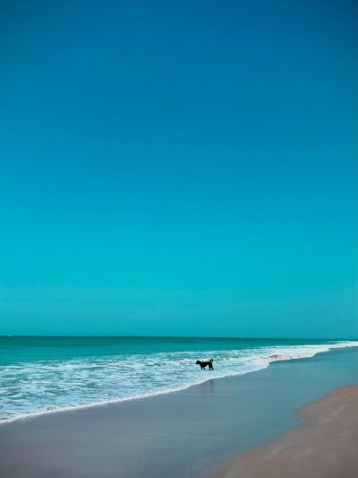 Varca Le Palms Beach Resort в феврале — фото погоды (2026-02-14)