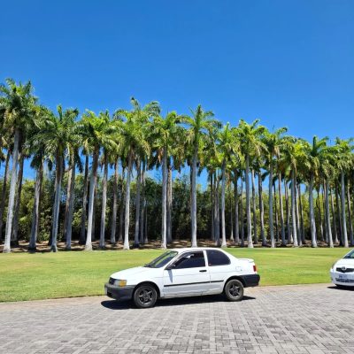 Playa Virador, Costa Rica в апреле — фото погоды (2026-04-20)