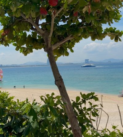 Wuzhizhou Island в июне — фото погоды (2026-06-29)