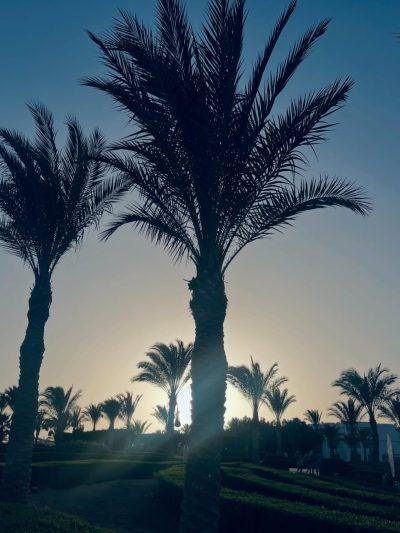 Marsa Alam, Egypt в июне — фото погоды (2026-06-29)