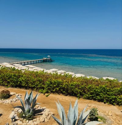Marsa Alam, Egypt в июле — фото погоды (2026-07-14)
