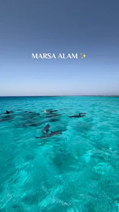 Marsa Alam, Egypt в июле — фото погоды (2026-07-15)