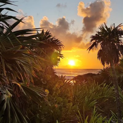 Tulum Green в феврале — фото погоды (2025-02-03)