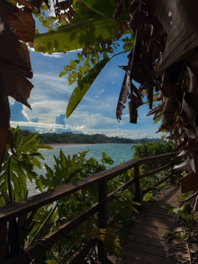 Red Frog Beach, Bocas Del Toro в апреле — фото погоды (2026-04-29)