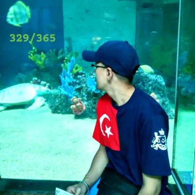 Underwater World Langkawi в ноябре — фото погоды (2025-11-25)