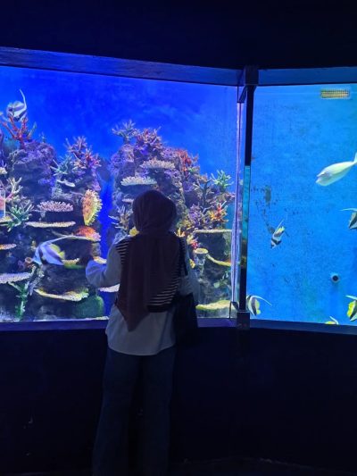 Underwater World Langkawi в январе — фото погоды (2026-01-19)