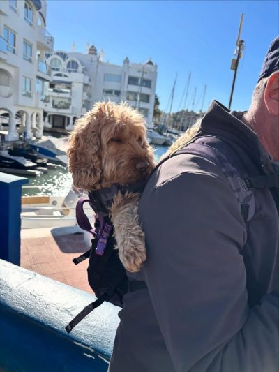 Benalmadena Marina в январе — фото погоды (2026-01-06)