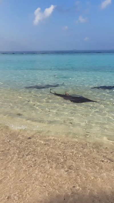 Feridhoo в мае — фото погоды (2026-05-21)