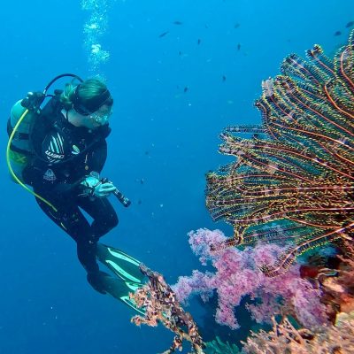 Pescador Island в марте — фото погоды (2026-03-08)