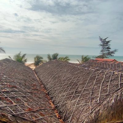 Dessole Beach Resort - Mui Ne — фото погоды в феврале (2026-02-14)