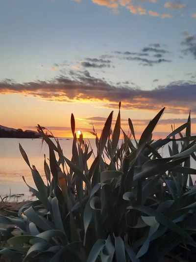 Pittulongu Beach Costa Smeralda в июле — фото погоды (2026-07-11)