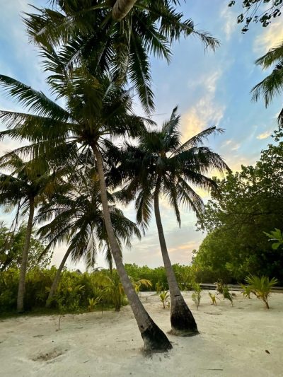 COMO Cocoa Island, Maldives в декабре — фото погоды (2025-12-15)
