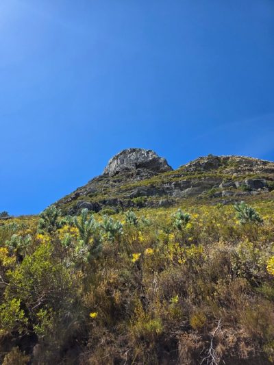 Lion's Head в январе — фото погоды (2026-01-31)