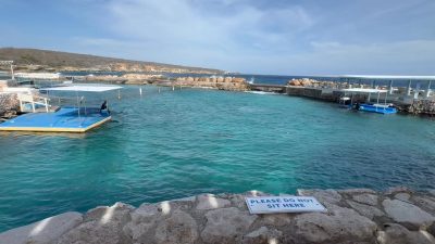 Curacao Sea Aquarium в апреле — фото погоды (2026-04-09)
