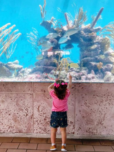 Curacao Sea Aquarium в апреле — фото погоды (2026-04-17)