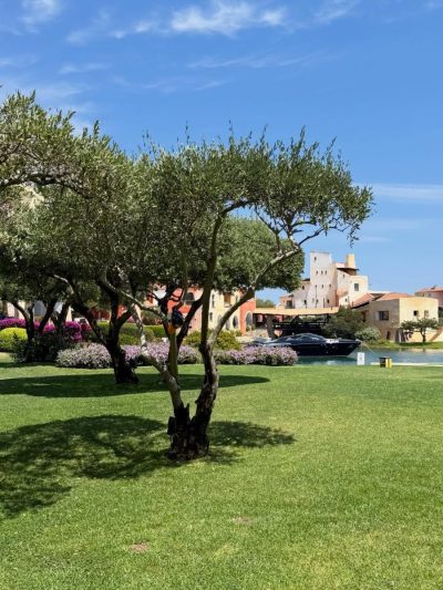 Cala di Volpe, a Luxury Collection Hotel, Costa Smeralda — фото погоды в ноябре (2025-11-26)