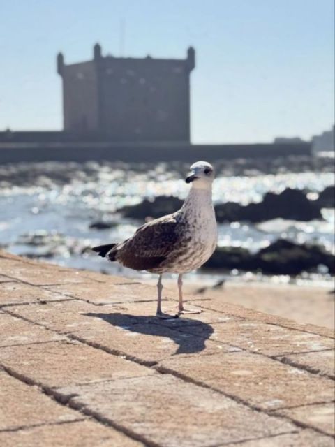 Погода в Марокко