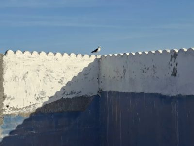 Essaouira Port в мае — фото погоды (2026-05-25)