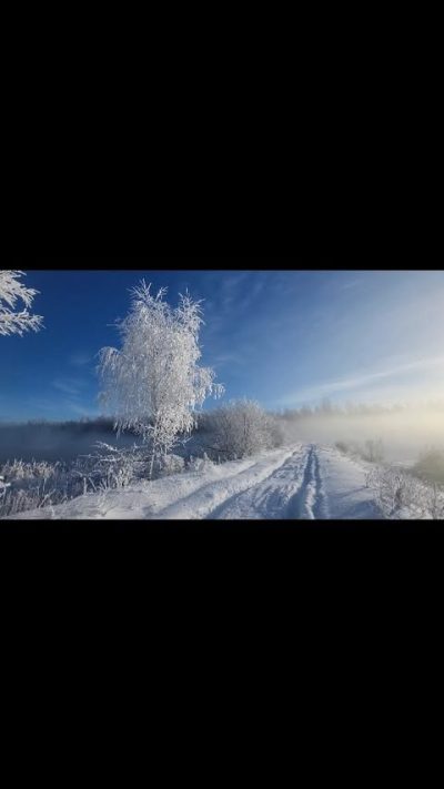 Ryazansky District, Ryazan Oblast в январе — фото погоды (2026-01-17)