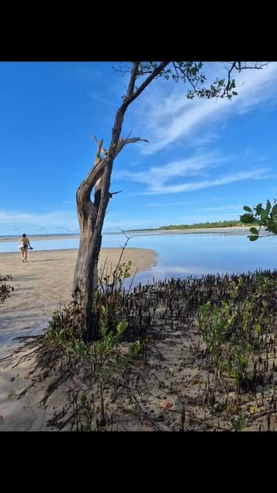 Morro De São Paulo - Bahia, Brasil в мае — фото погоды (2026-05-28)