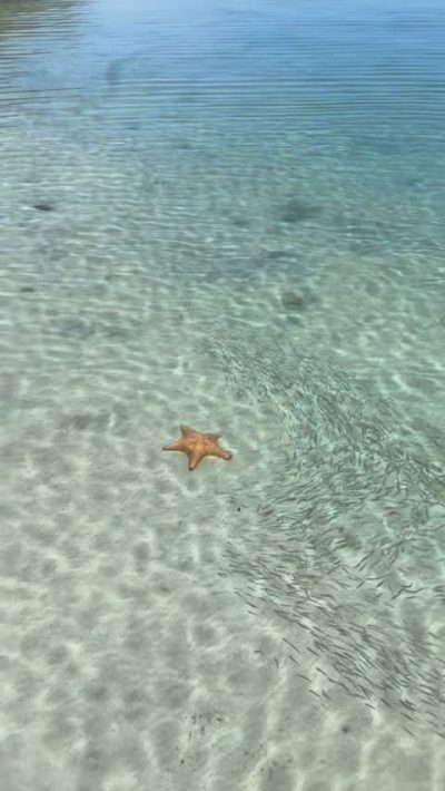 Playa De Las Estrellas, Bocas Del Toro в мае — фото погоды (2026-05-28)