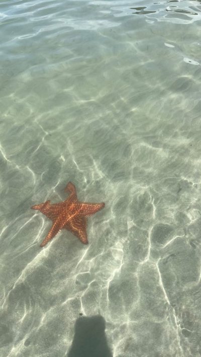 Playa De Las Estrellas, Bocas Del Toro в июле — фото погоды (2026-07-09)