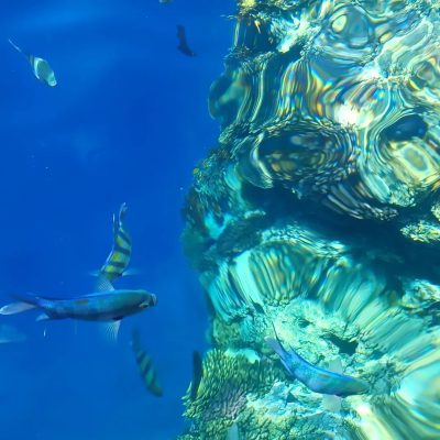 Red Sea Sharm El Sk в июле — фото погоды (2026-07-22)