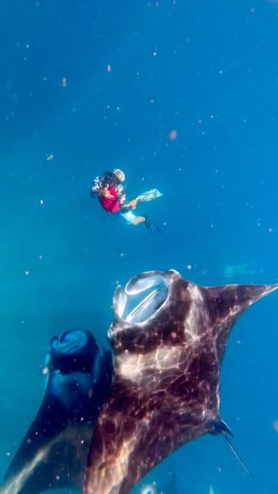 Guraidhoo в июне — фото погоды (2026-06-04)