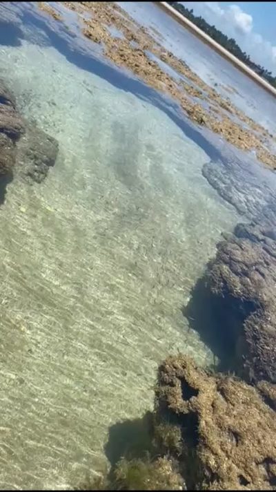 Piscinas Naturais De Maracaípe в октябре — фото погоды (2025-10-23)