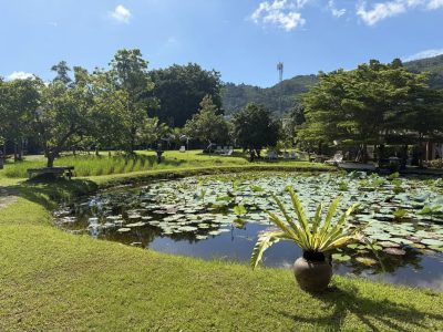 Naina Resort & Spa — фото погоды в июне (2026-06-13)