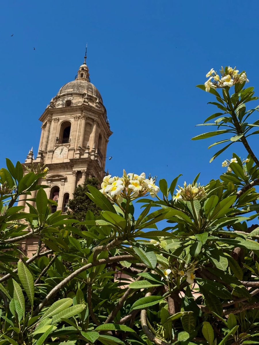 Погода в Málaga Cathedral