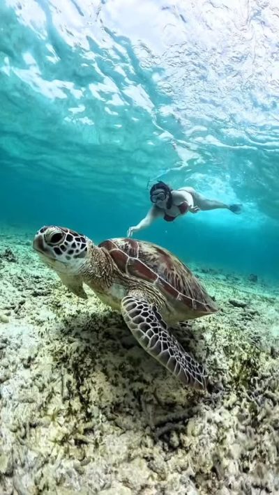 Gili Trawangan в апреле — фото погоды (2026-04-02)