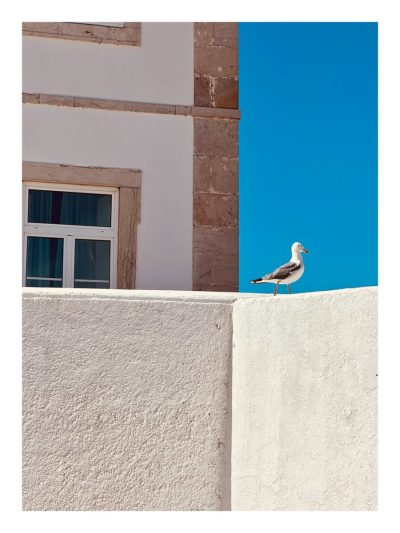 Praia do Camilo в июле — фото погоды (2026-07-14)