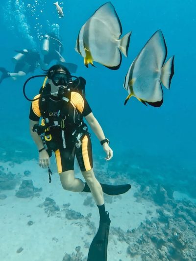Red Sea - Tobia Island в августе — фото погоды (2025-08-18)