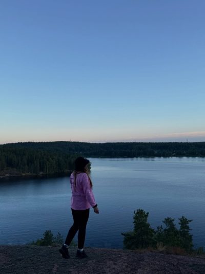 Vyborgsky District, Leningrad Oblast в июле — фото погоды (2026-07-19)