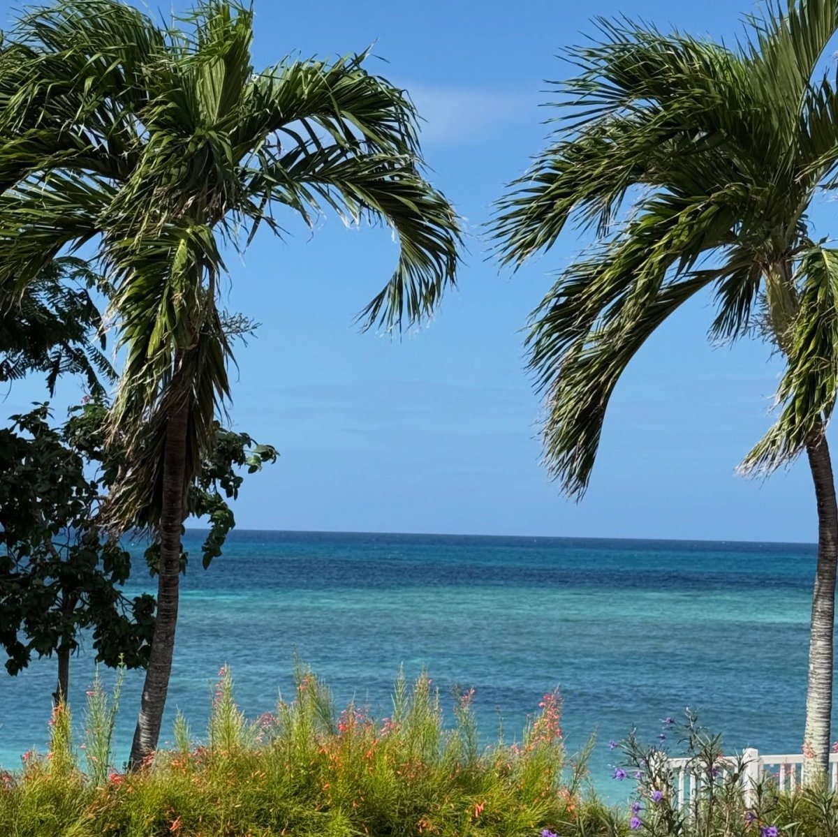 Погода в Guardalavaca Cuba