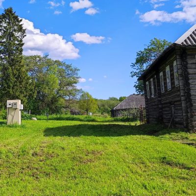 Воробьи (Карелия) в июне — фото погоды (2022-06-06)