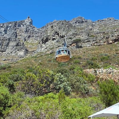 Table Mountain Aerial Cableway в январе — фото погоды (2026-01-31)