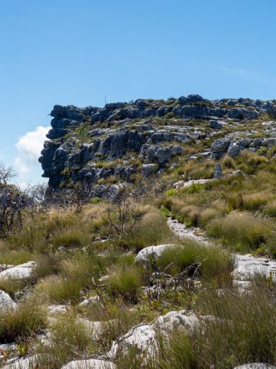 Table Mountain Aerial Cableway в феврале — фото погоды (2026-02-24)