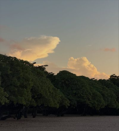 Grand Hyatt Bali в мае — фото погоды (2026-05-08)