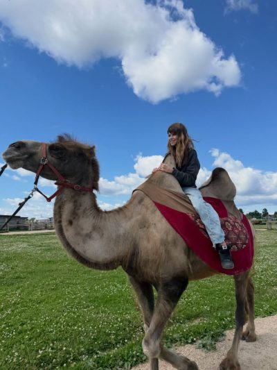 Этнопарк «Кочевник» / «Kochevnik» nomadpark в июне — фото погоды (2026-06-28)