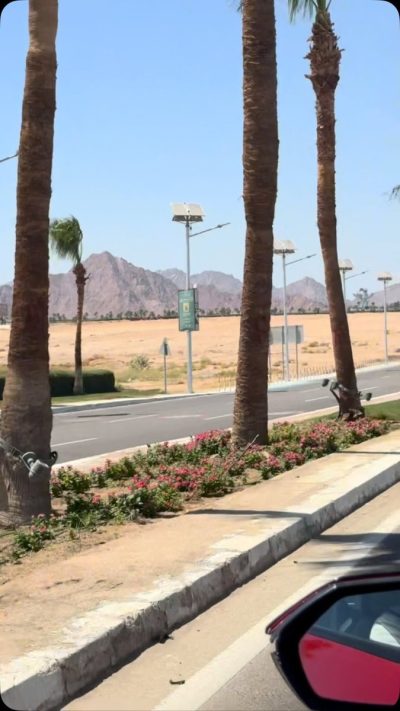 Grand Rotana Resort & Spa — фото погоды в июне (2026-06-25)
