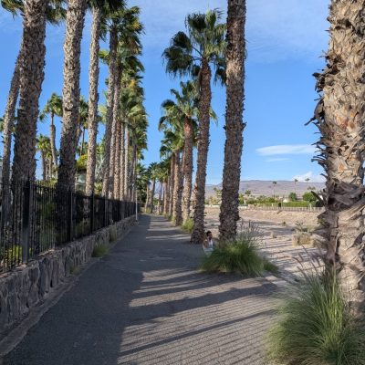 Canary Garden Club Maspalomas — фото погоды в ноябре (2025-11-02)