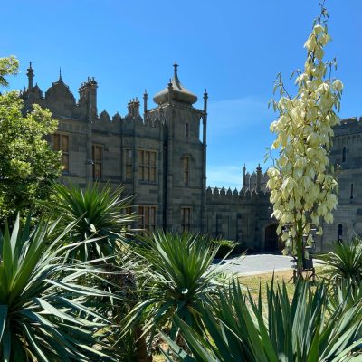 Vorontsov Palace — фото погоды в июне (2026-06-17)