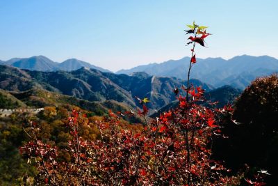 Badaling в феврале — фото погоды (2025-02-09)