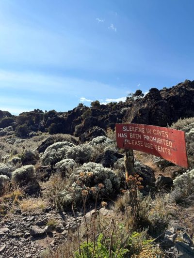 Kilimanjaro Shira Camp - 3,890m в сентябре — фото погоды (2025-09-01)