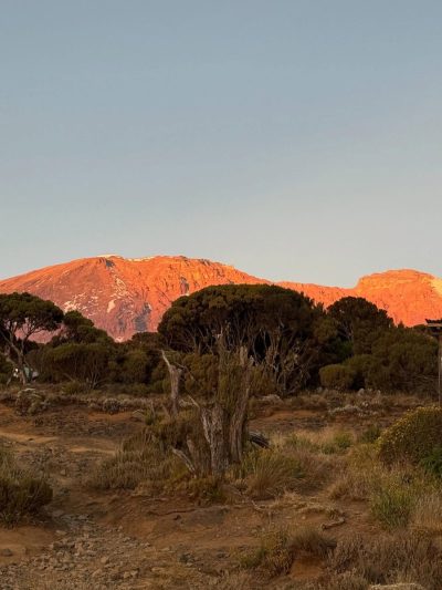 Kilimanjaro Shira Camp - 3,890m в сентябре — фото погоды (2025-09-01)
