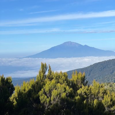 Kilimanjaro Shira Camp - 3,890m в ноябре — фото погоды (2025-11-29)