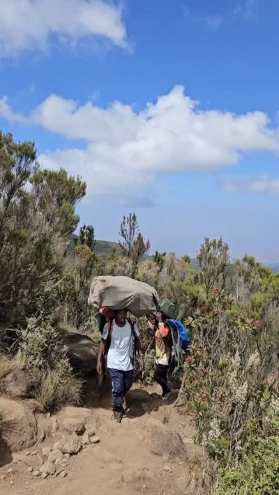 Kilimanjaro Shira Camp - 3,890m в мае — фото погоды (2026-05-09)