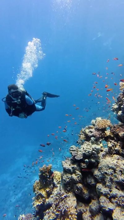 Sharm El Sheik - Red Sea в июле — фото погоды (2026-07-14)